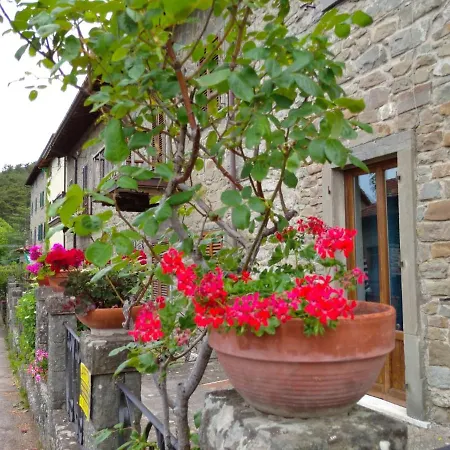 Il Nido 公寓 Serravalle (Bibbiena)